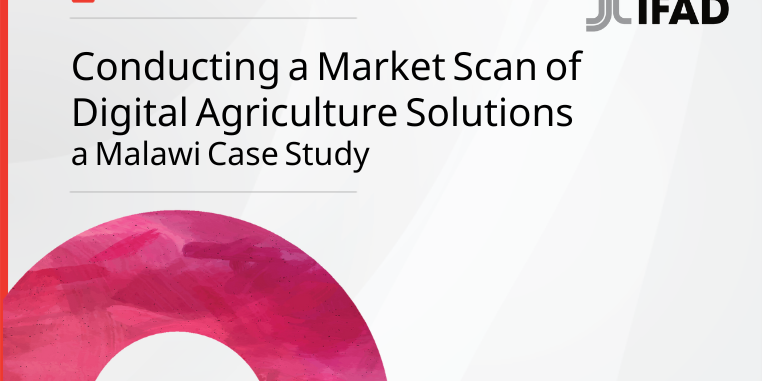 Cover for market scan malawi case study